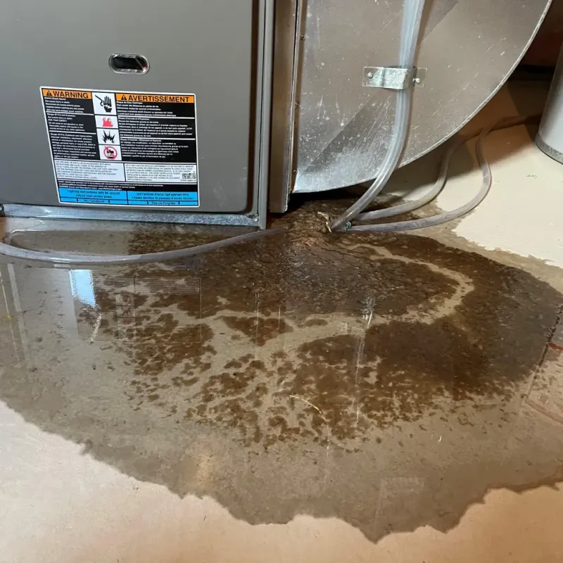 Appliance Leak Cleanup in New Waterford, OH